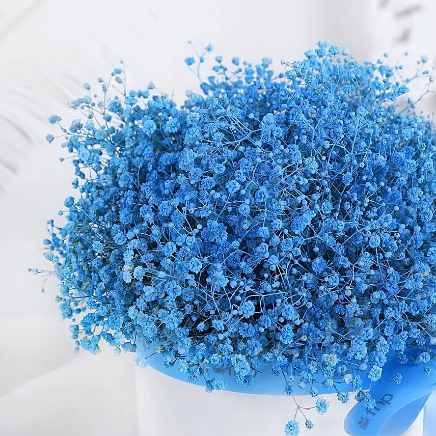 Gypso Grace in Blue