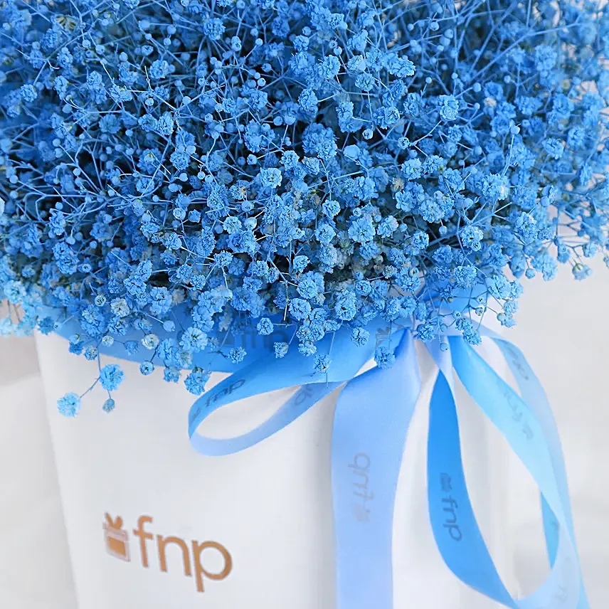 Gypso Grace in Blue