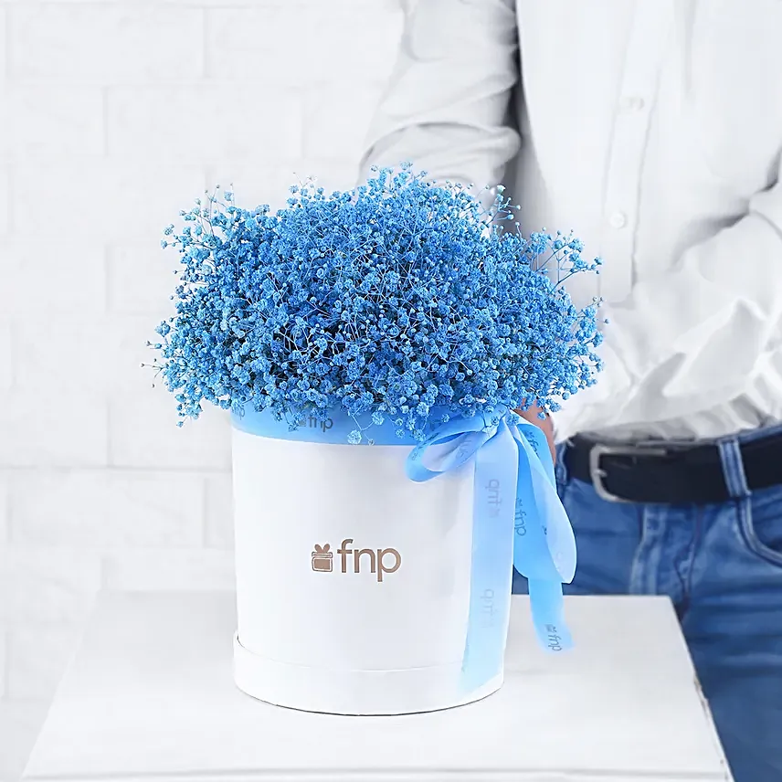 Gypso Grace in Blue
