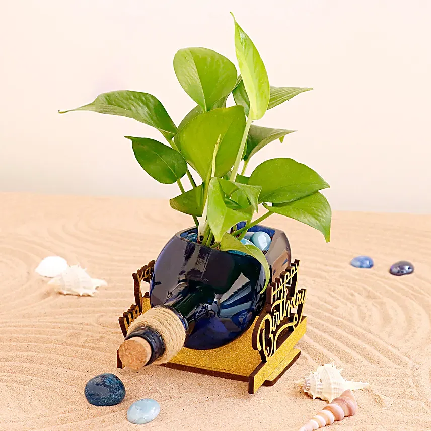 Happy Birthday Money Plant Antiquity Bottle