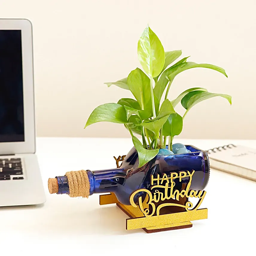 Happy Birthday Money Plant Antiquity Bottle