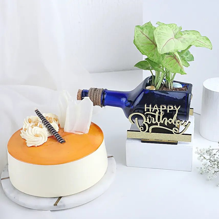 Happy Birthday Plant N Butterscotch Cake Combo