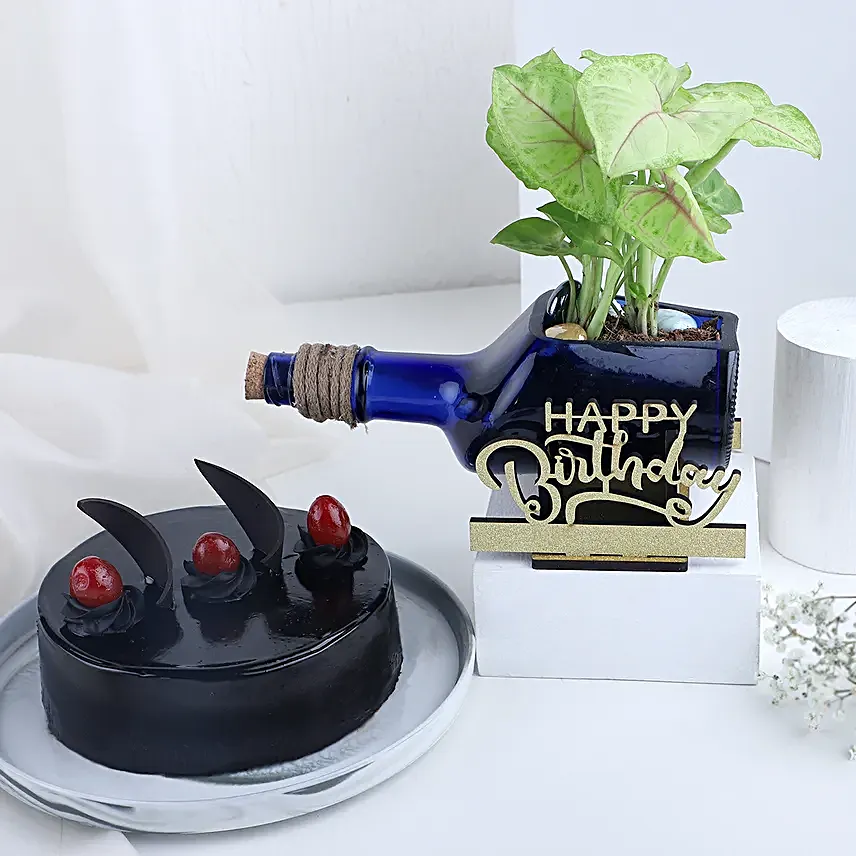 Happy Birthday Syngonium Plant N Cake Combo