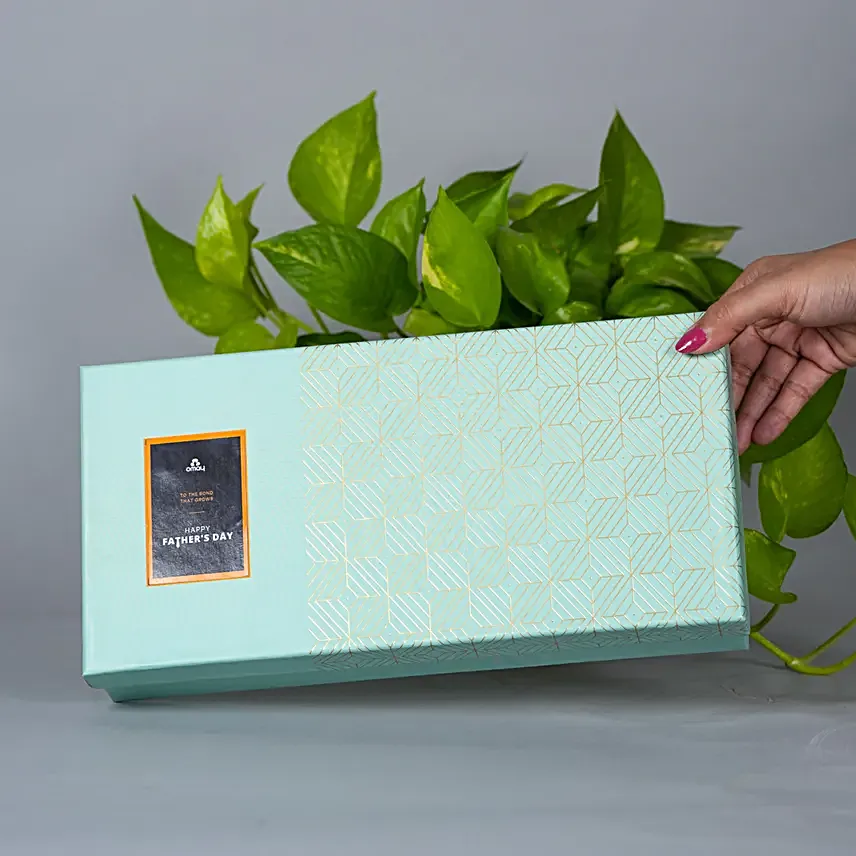 Happy Fathers Day Healthy Treats Box