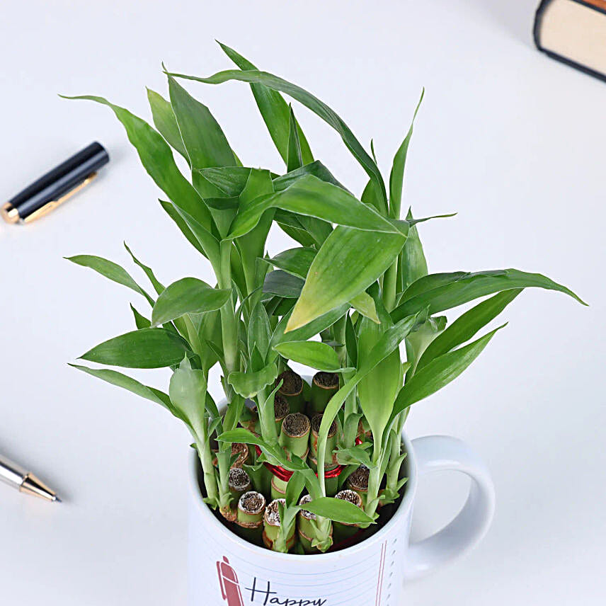 Happy Teachers Day Bamboo Plant Mug