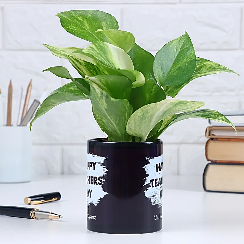 Happy Teachers Day Special Money Plant Mug
