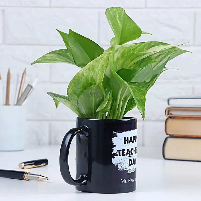 Happy Teachers Day Special Money Plant Mug