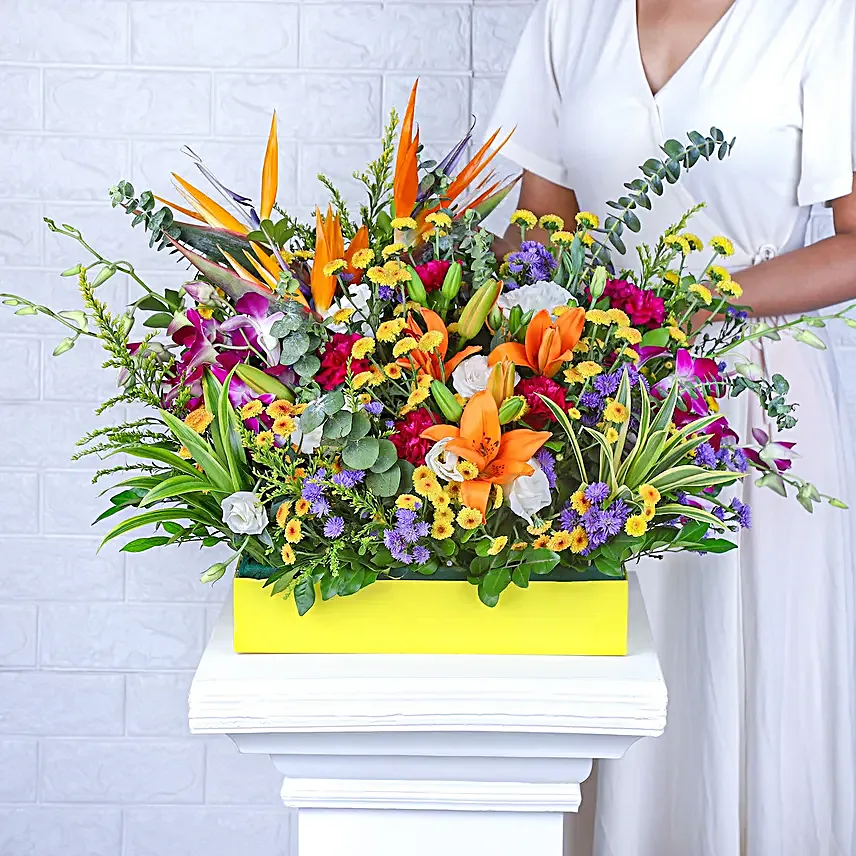 Harmony in Full Bloom