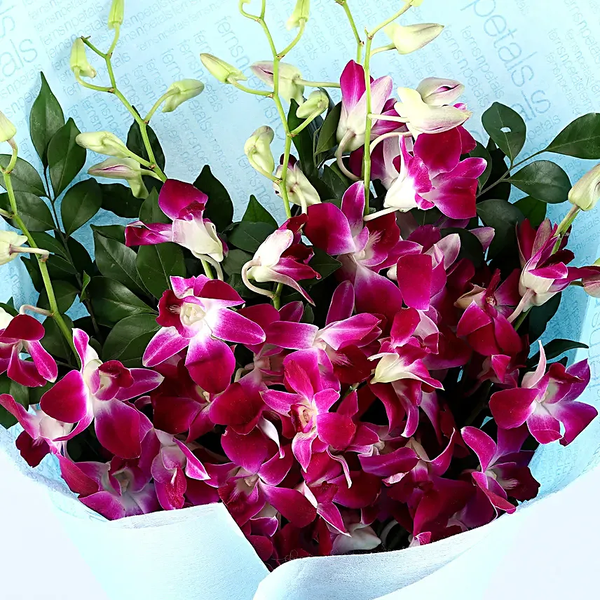 Heartfelt Feelings Orchids Bouquet With Celebrations Box