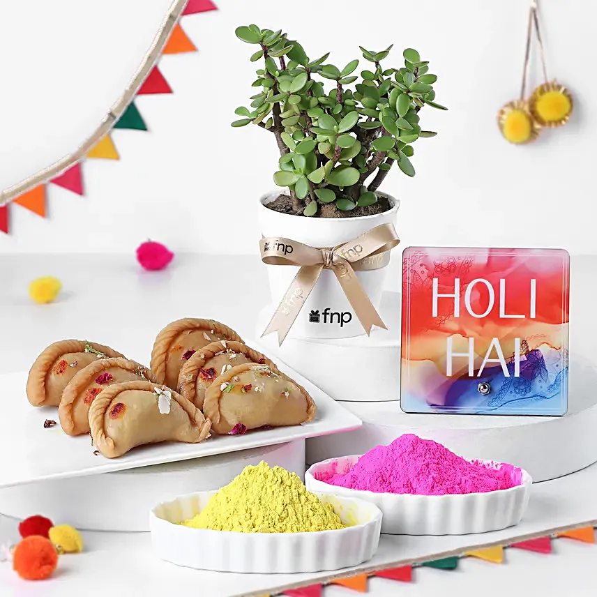 Holi Cheer Combo