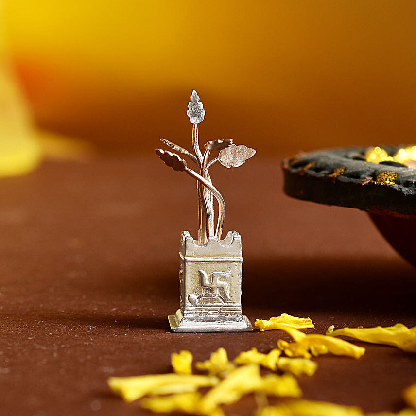 Holy Silver Tulsi Plant N Coin Gift Combo