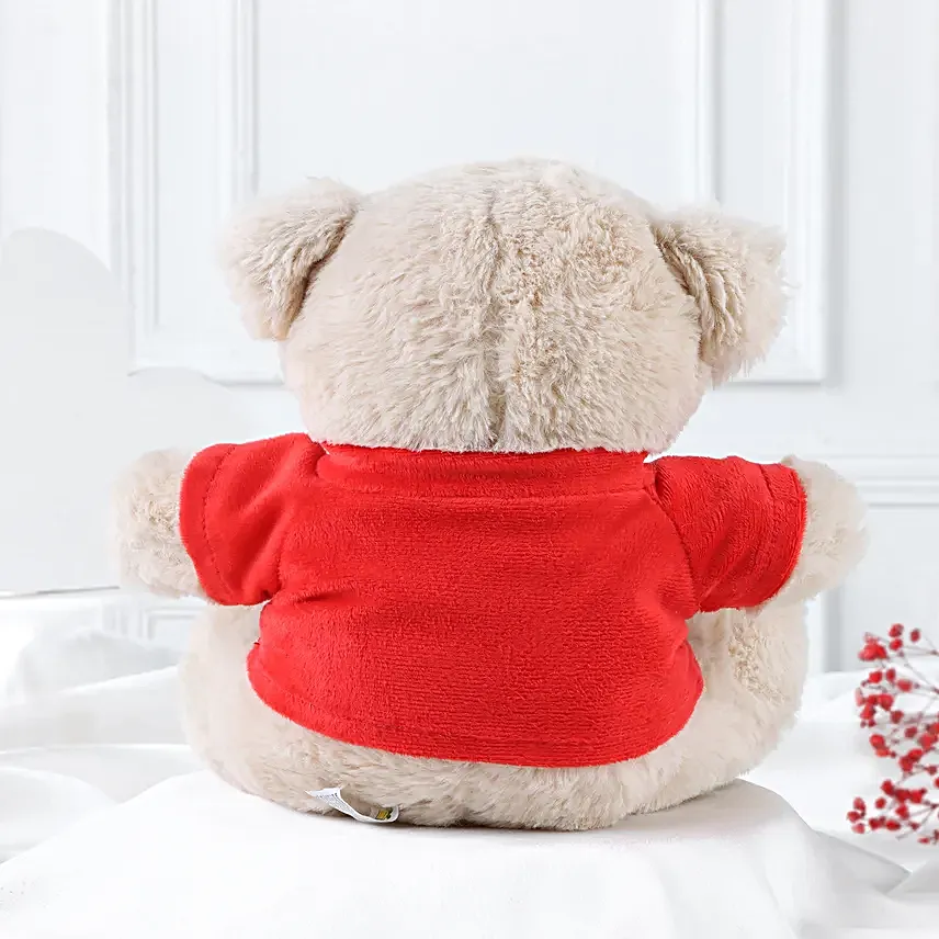 Hug Me Teddy Bear