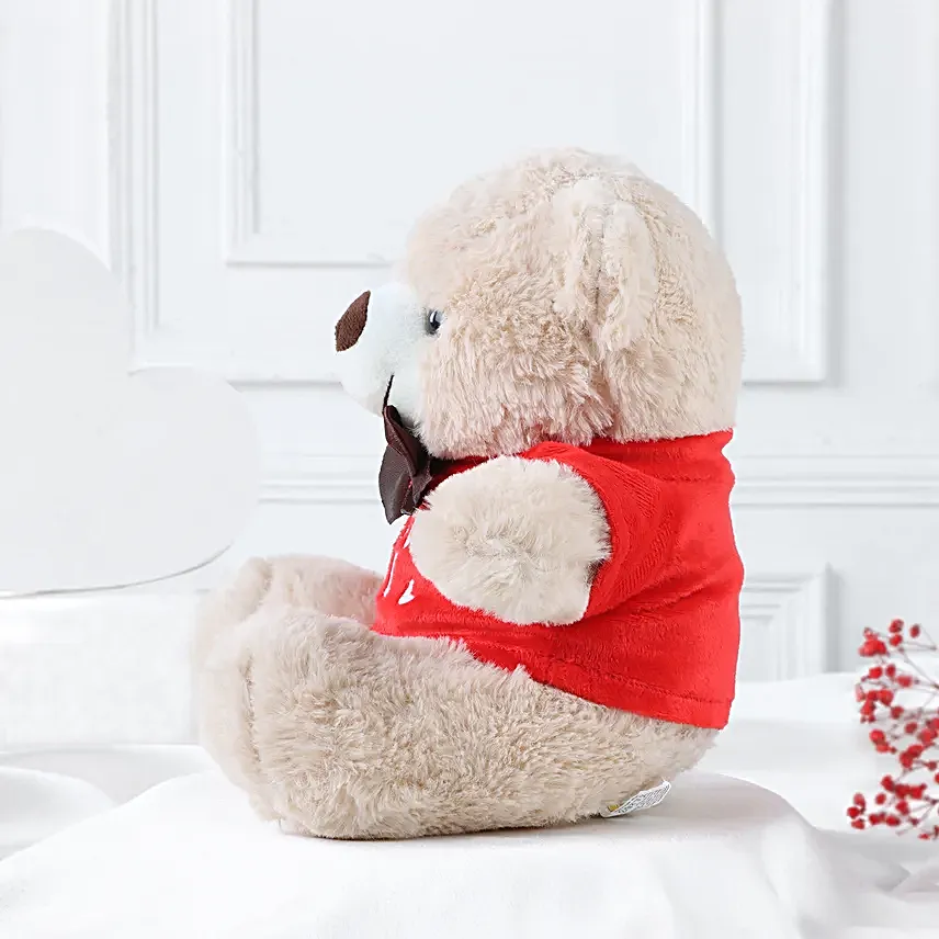 Hug Me Teddy Bear