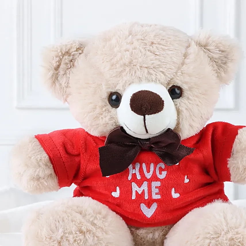 Hug Me Teddy Bear