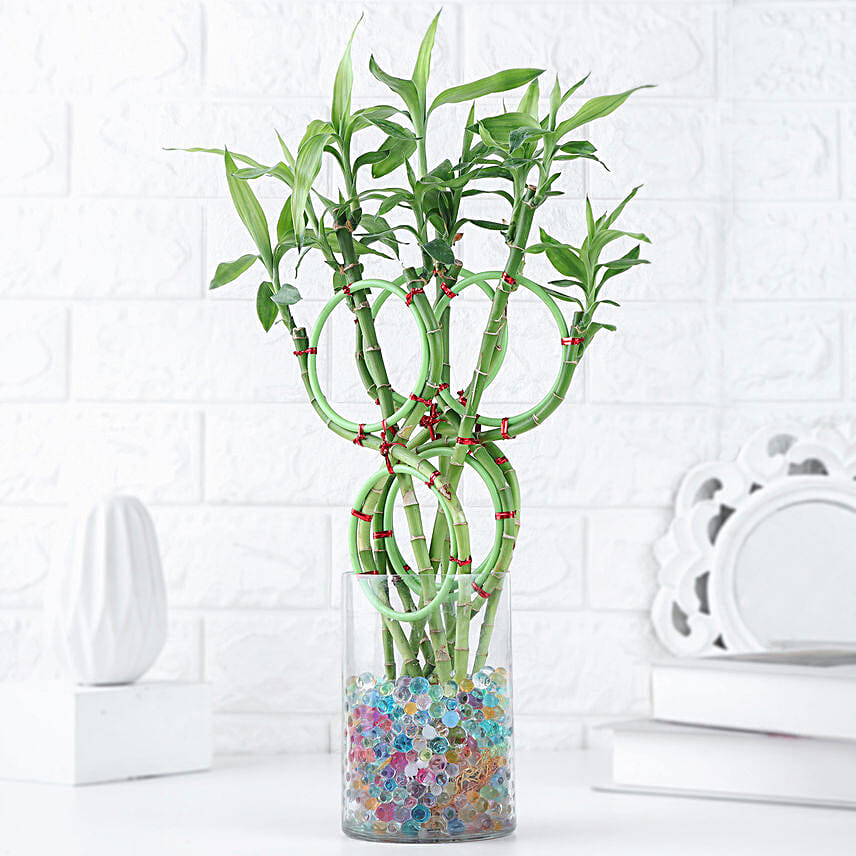 Infinite Blessings Bamboo Gift