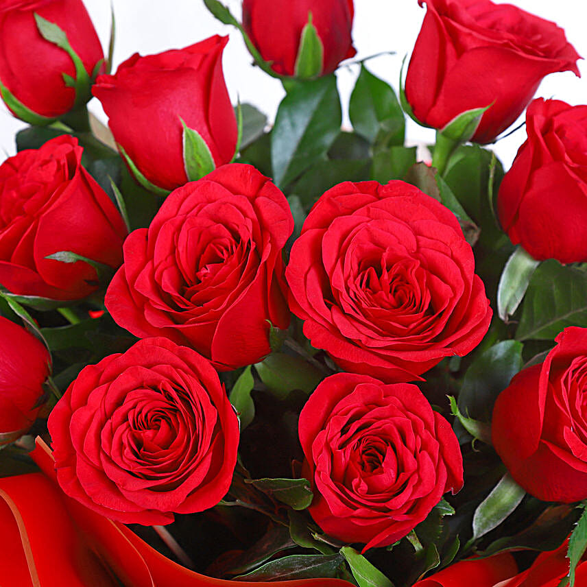 Infinite Love Rose Petals