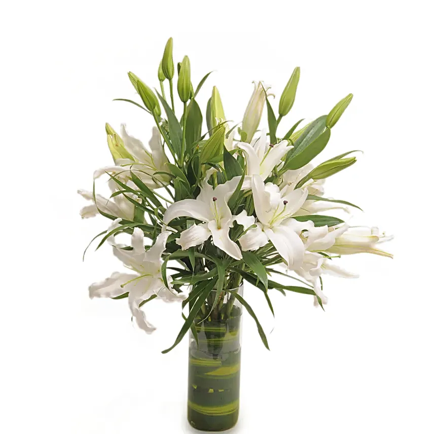 Isle Of White - Bunch of 6 White Oriental lilies in a glass vase.