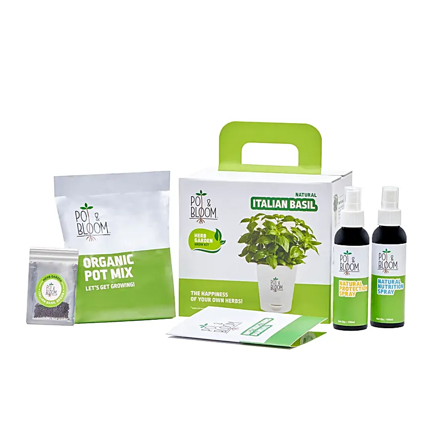 Italian Basil DIY Grow Kit