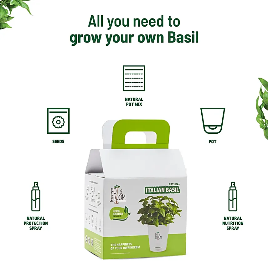 Italian Basil DIY Grow Kit
