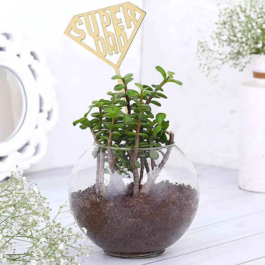 Jade Abundance for Dad