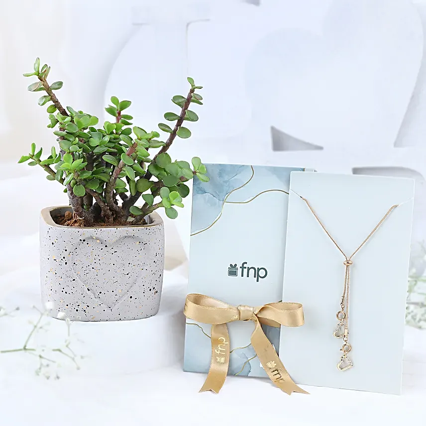 Jade Beauty Valentine Special Gift
