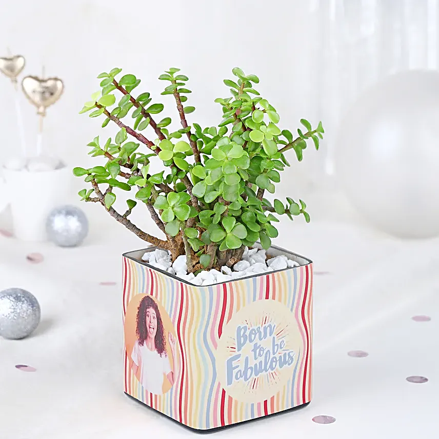 Jade Joy Mug Ensemble