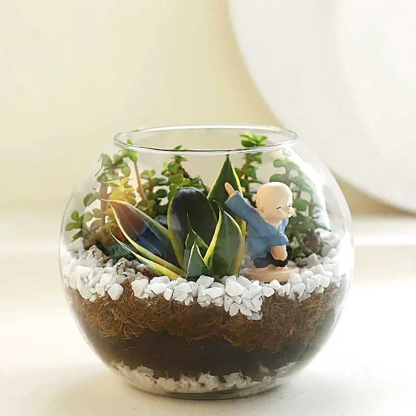Jade N Milt Sansevieria Plant Glass Vase Terrarium