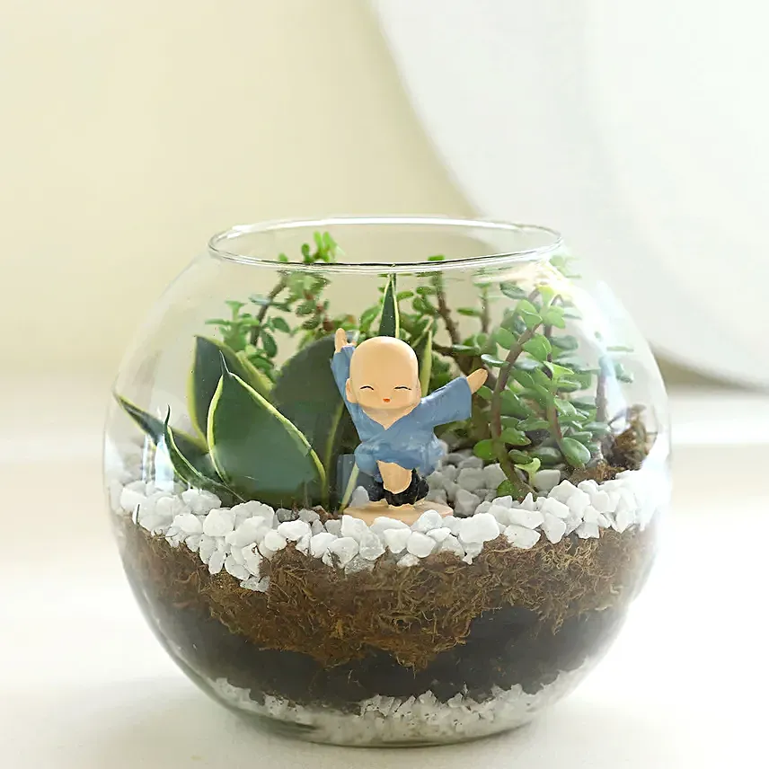 Jade N Milt Sansevieria Plant Glass Vase Terrarium