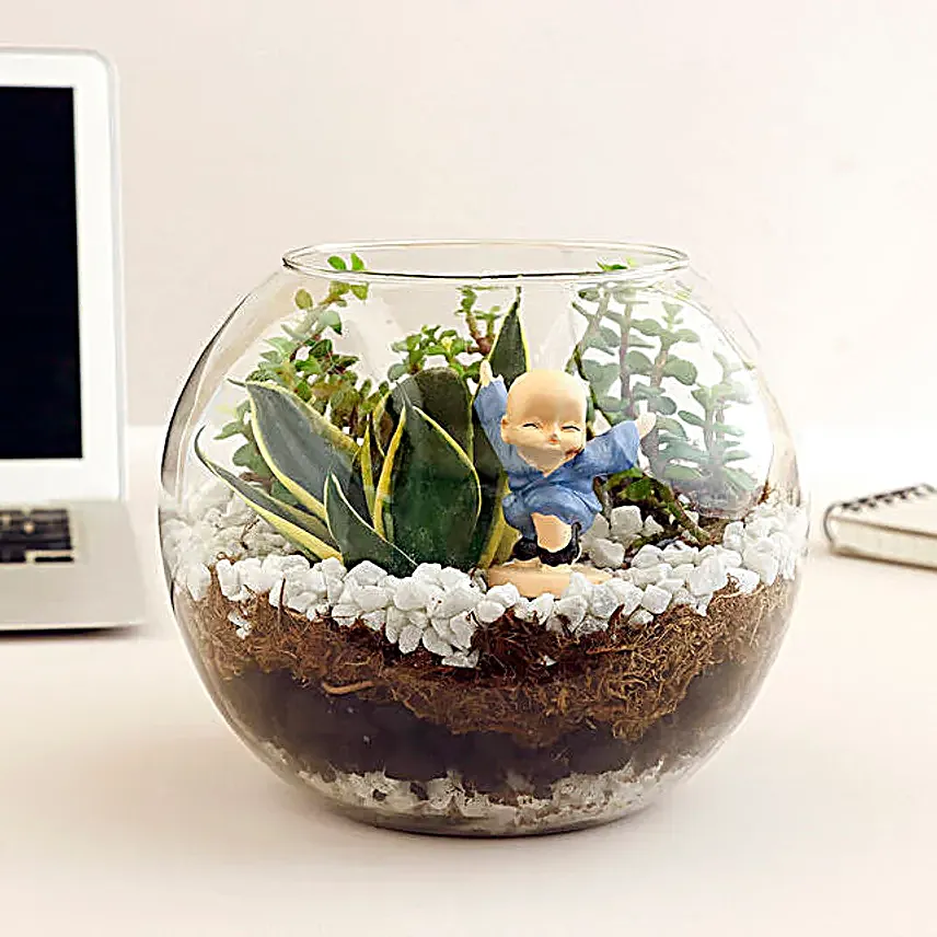 Jade N Milt Sansevieria Plant Set Vase Terrarium