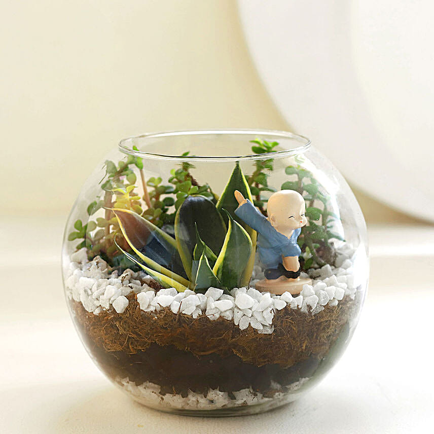 Jade N Milt Sansevieria Terrarium