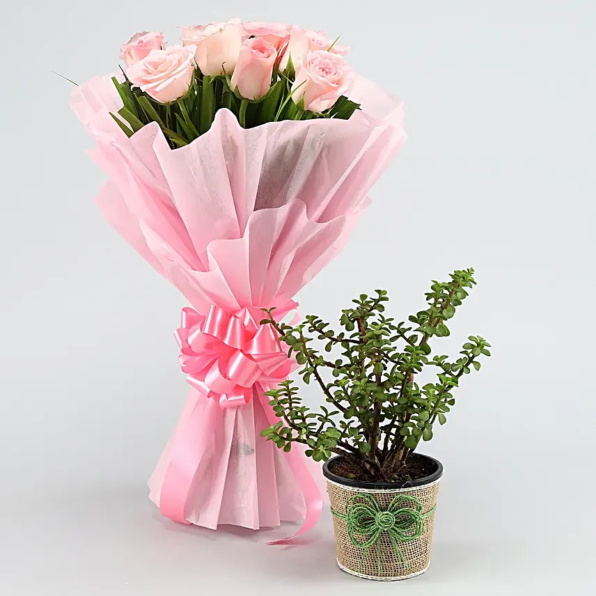 Order Plant And Rose Bouquet