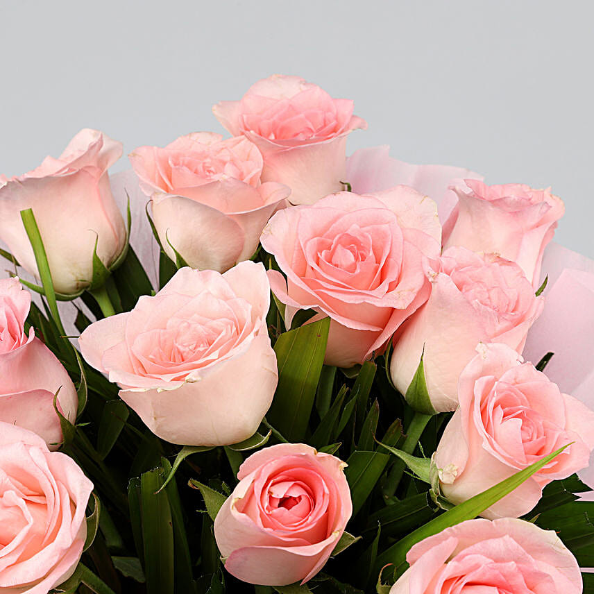 Order Plant And Rose Bouquet