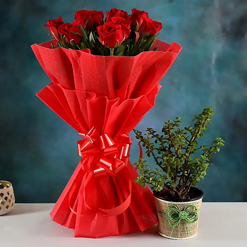 Send Plant And  Bouquet