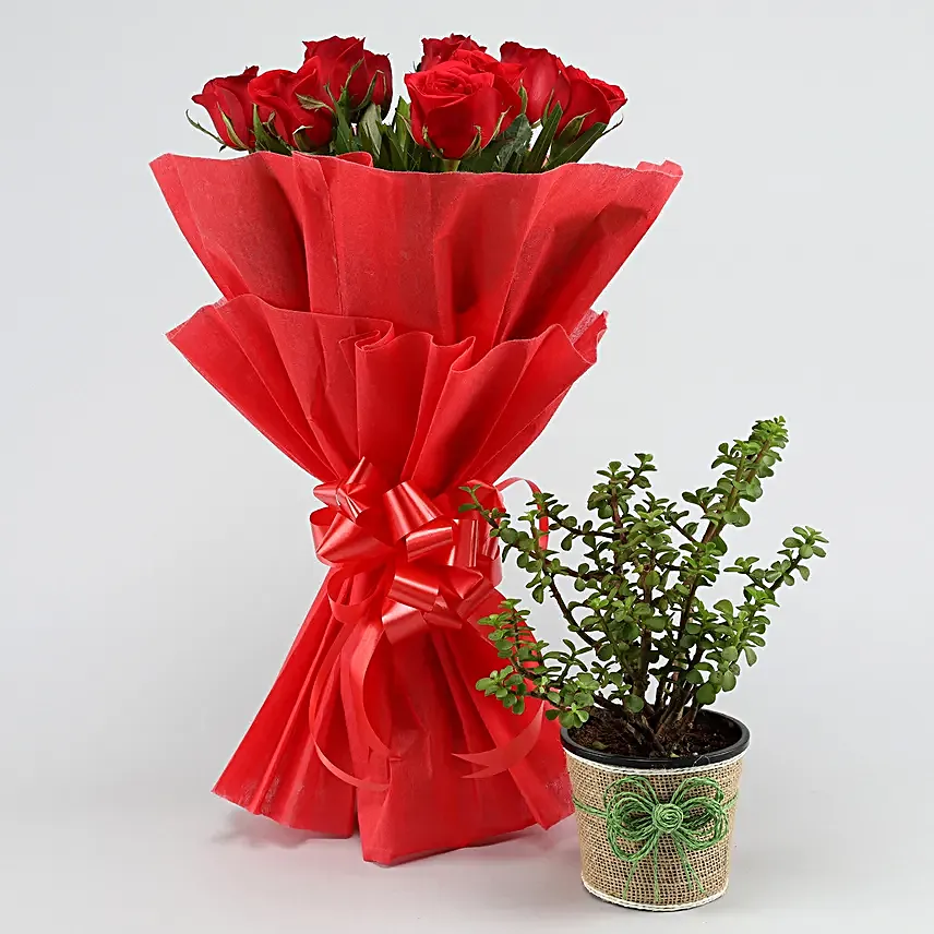 Send Plant And  Bouquet