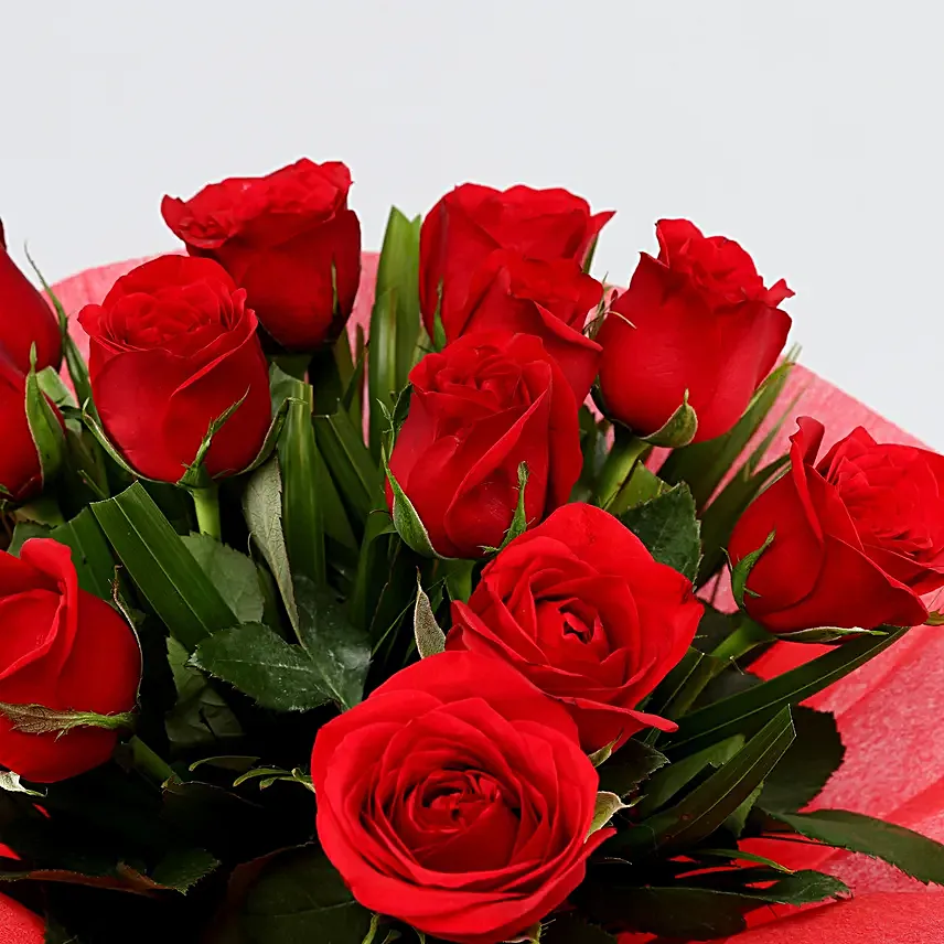 Send Plant And  Bouquet