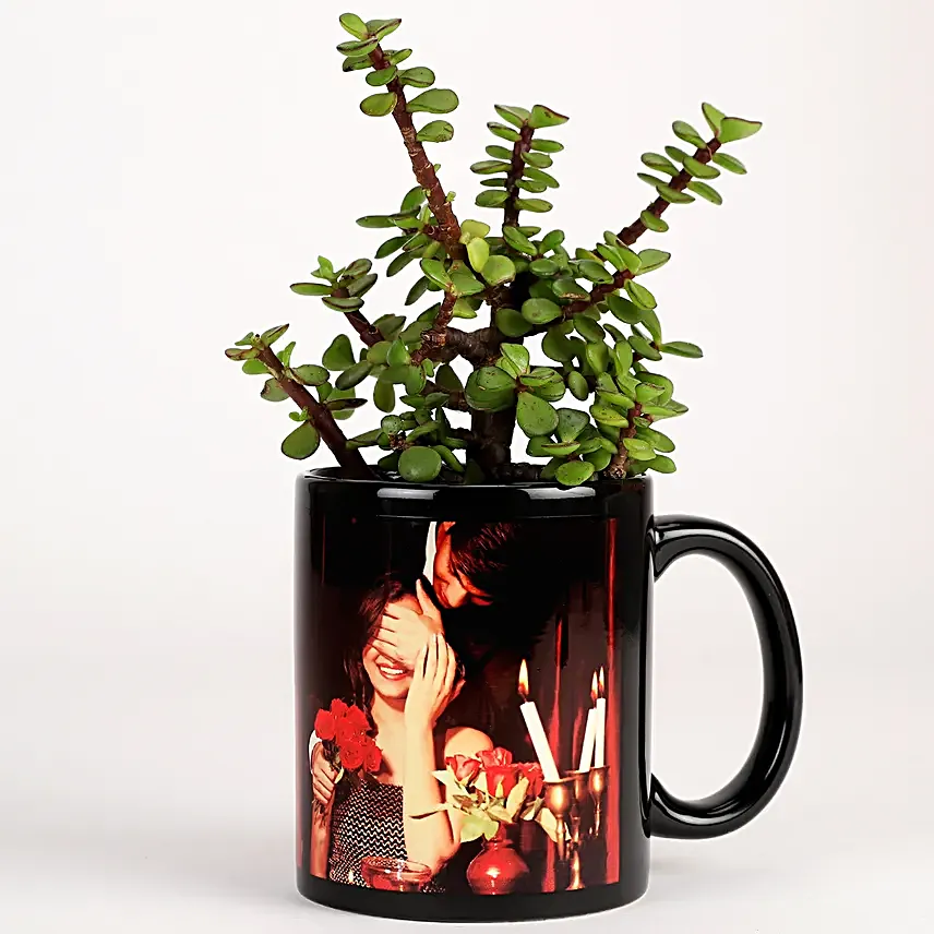 indoor plant in black photo mug