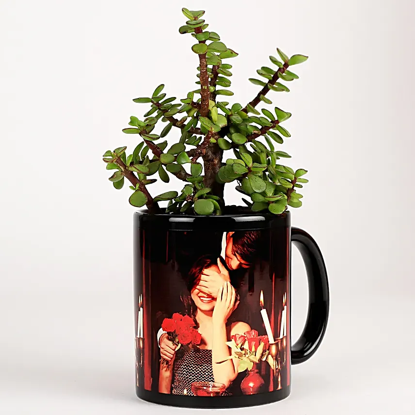 indoor plant in black photo mug