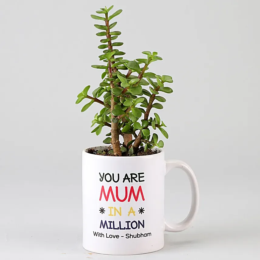 jade plant with printed mug for mom