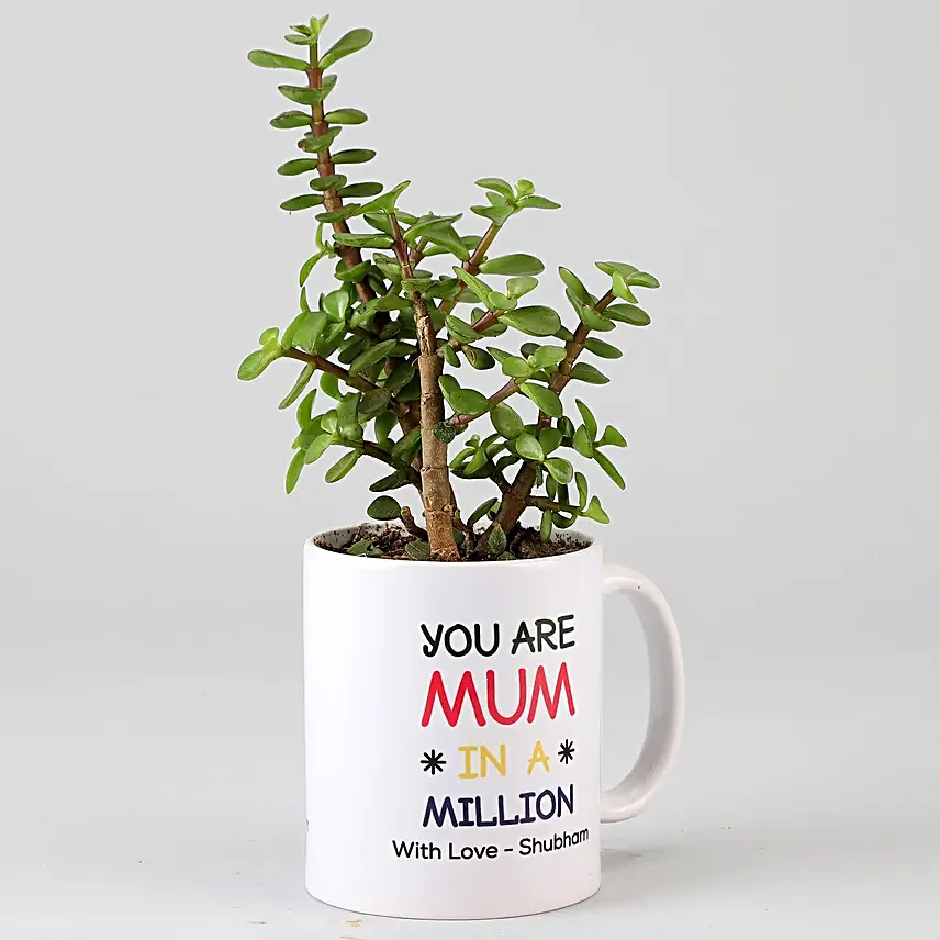 jade plant with printed mug for mom