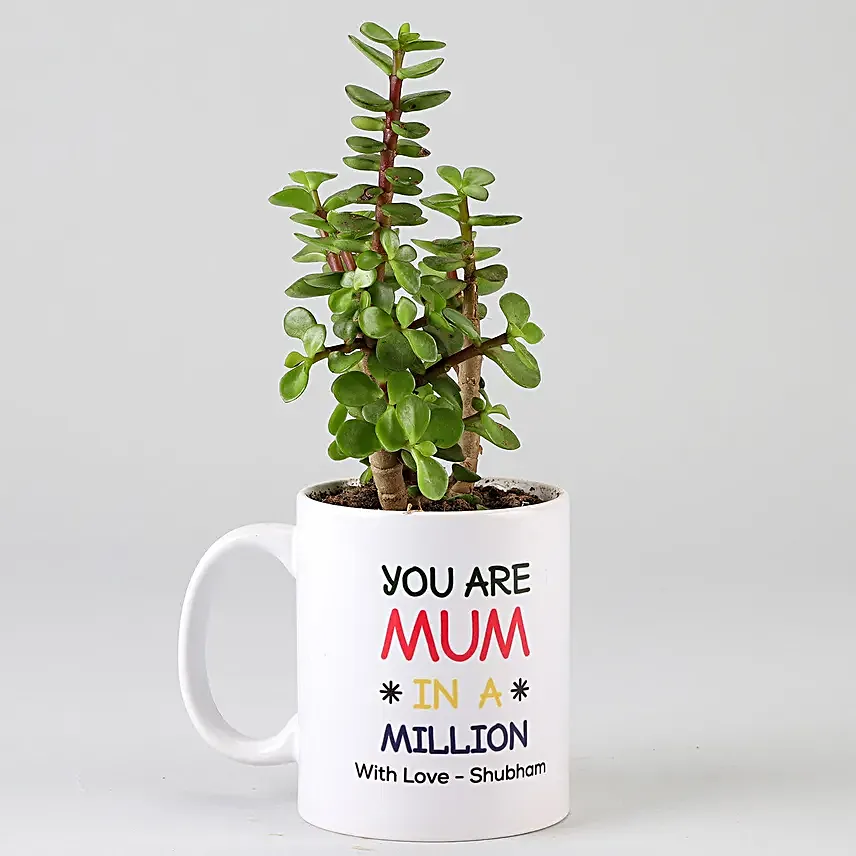 jade plant with printed mug for mom