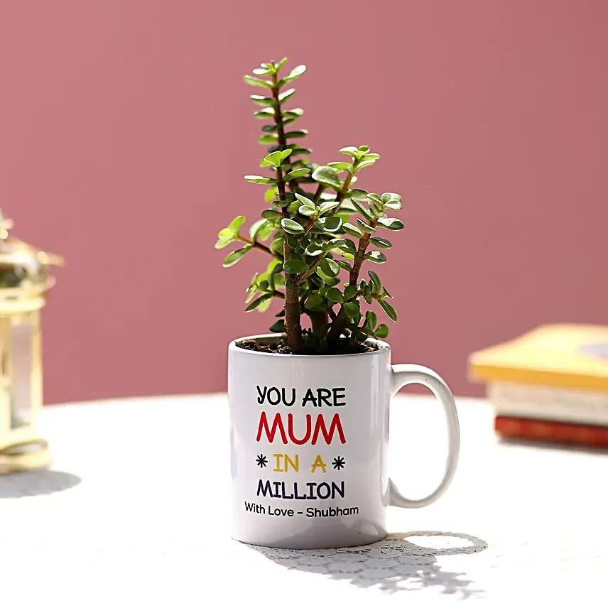 Jade Plant In Personalised Mug