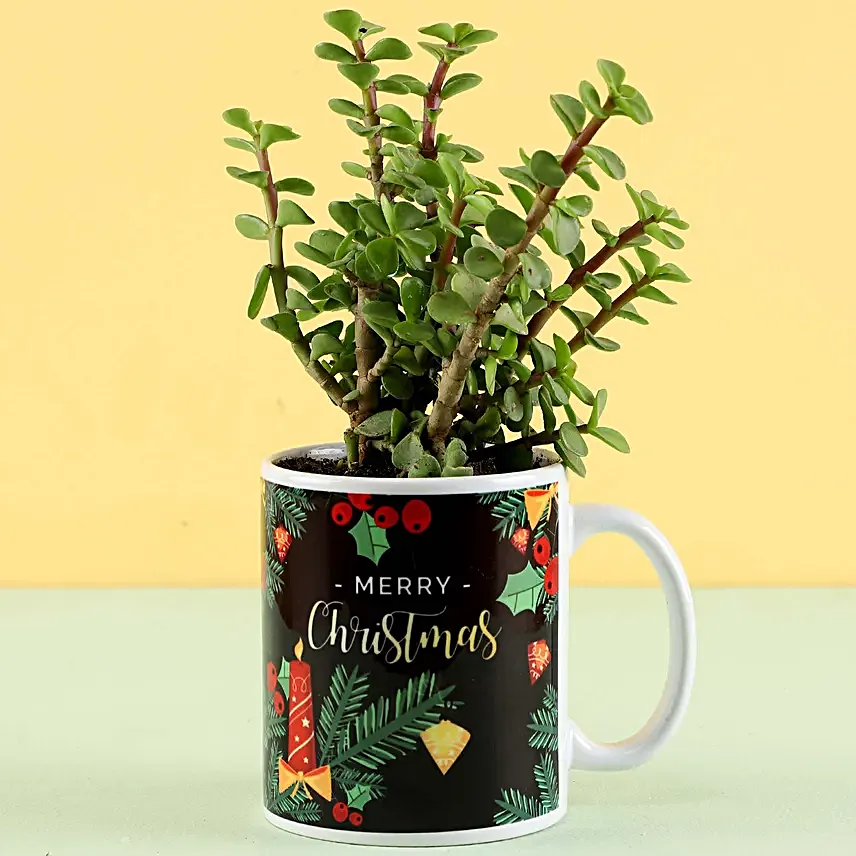 Christmas Printed Mug and Plant Combo Online