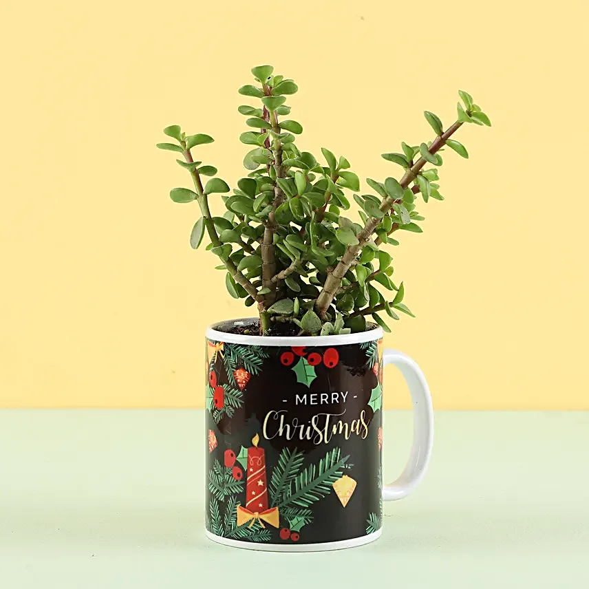 Christmas Printed Mug and Plant Combo Online