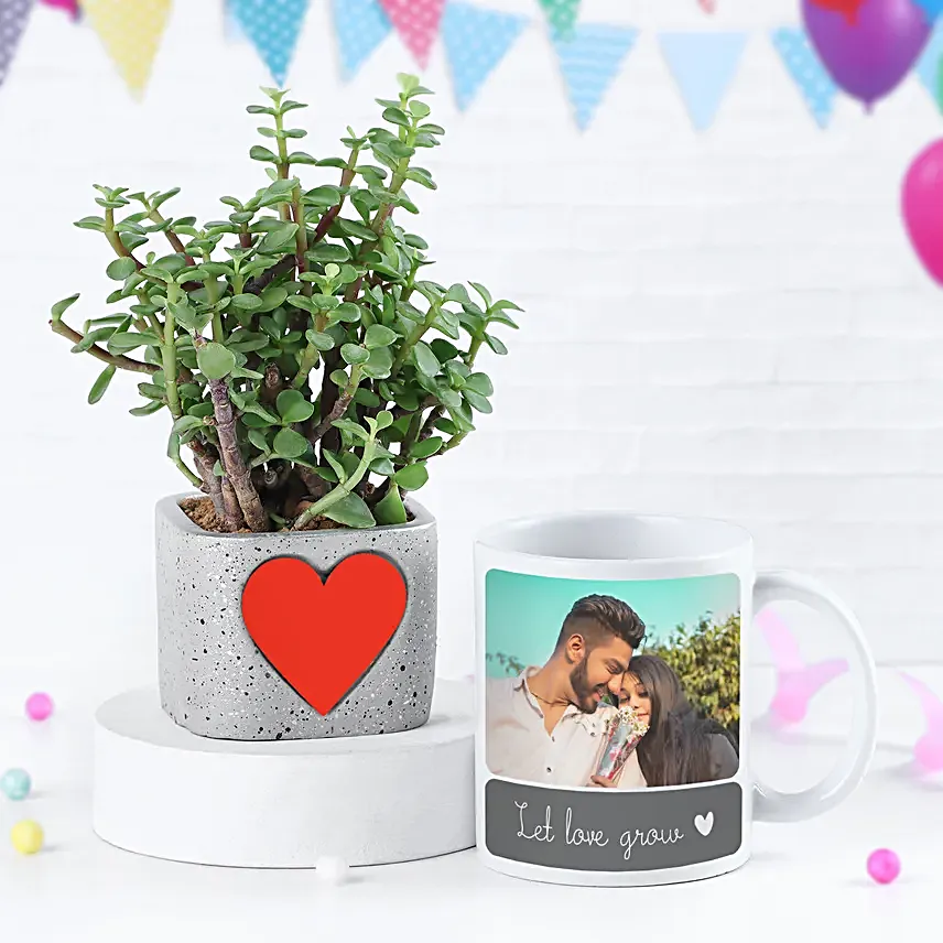 Jade Plant N Coffee Mug Gift Combo