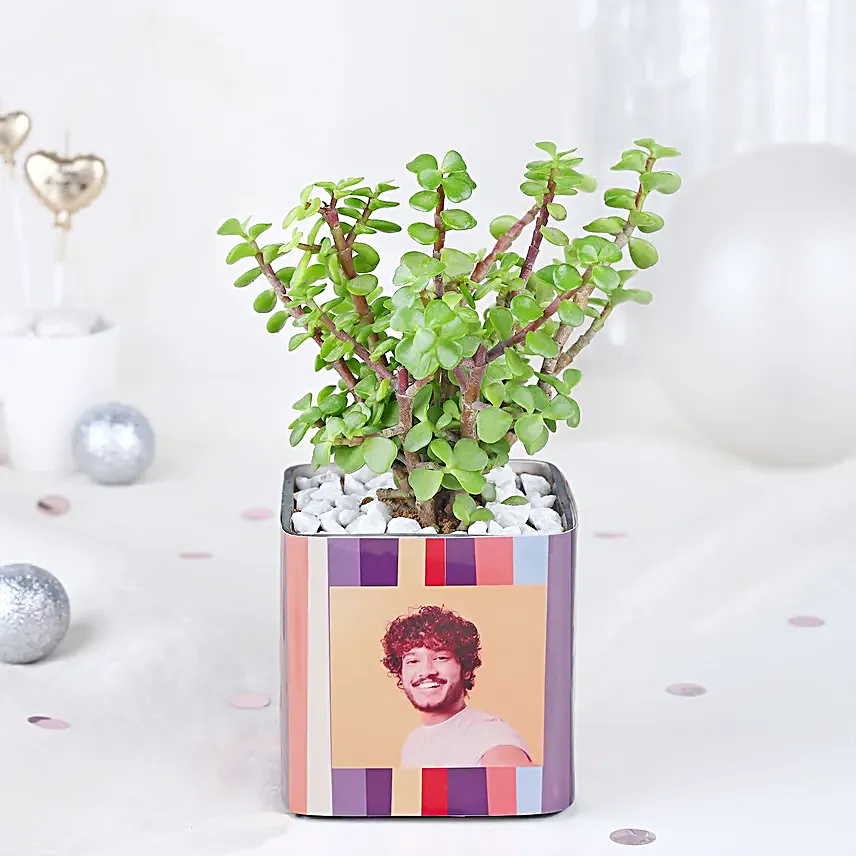 Jade Whispers Mug Ensemble