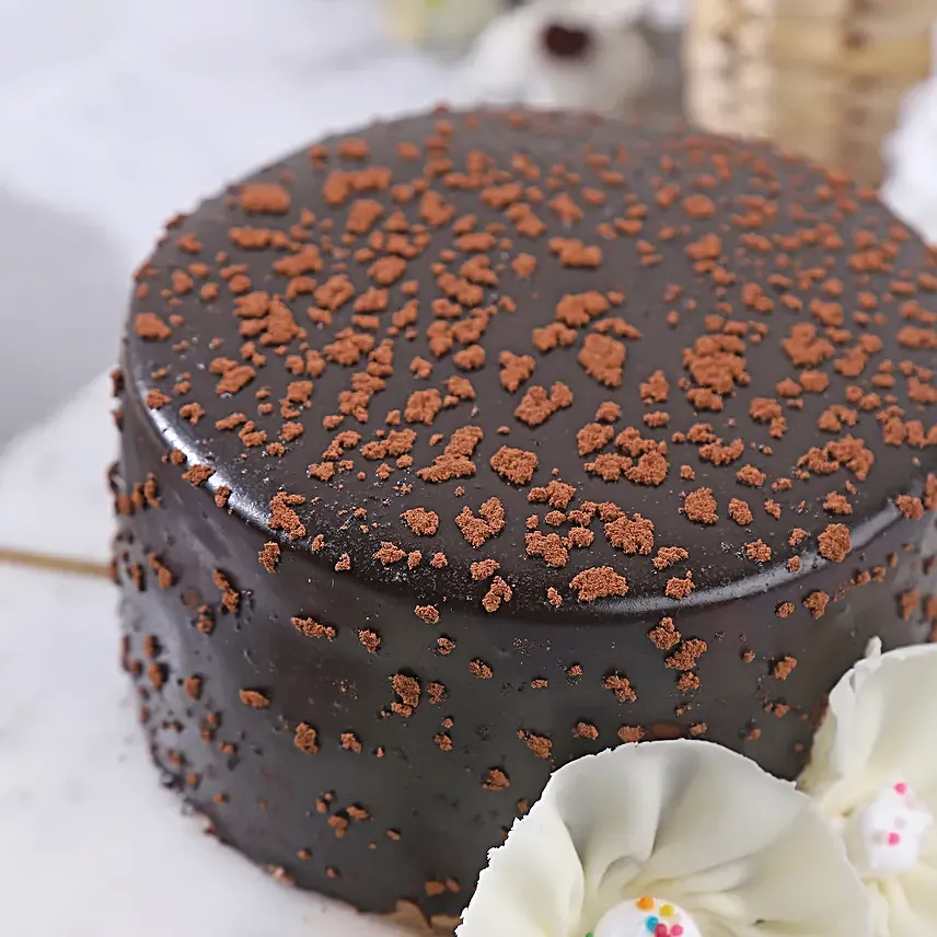 Joyful Bento Chocolate Temptation