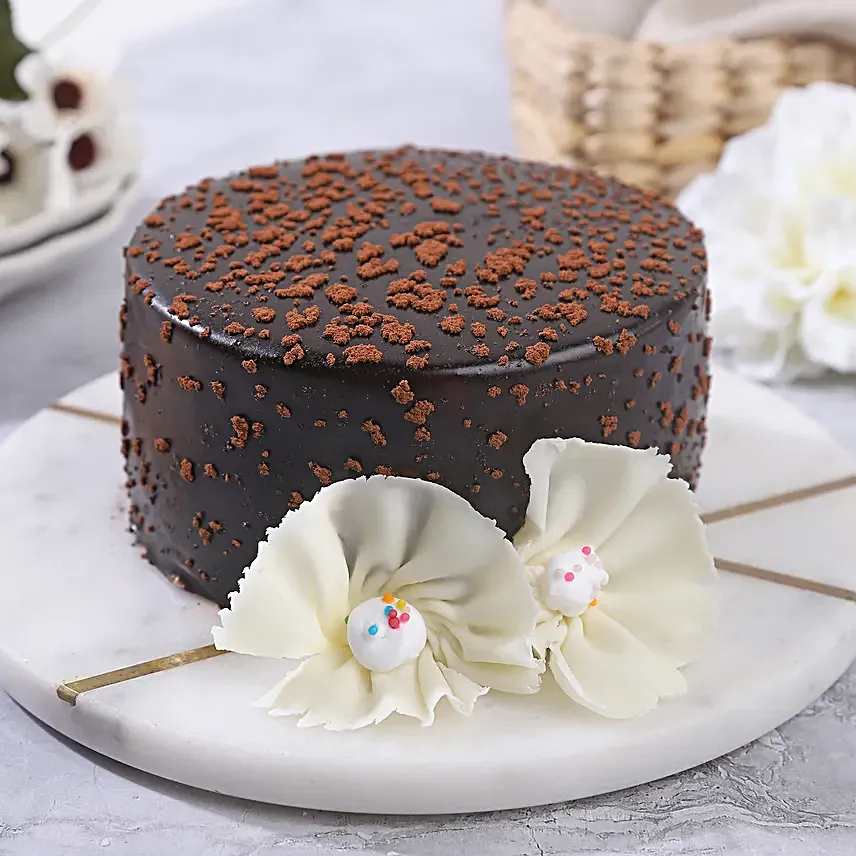 Joyful Bento Chocolate Temptation
