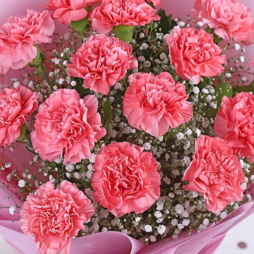 Joyful Birthday Carnation