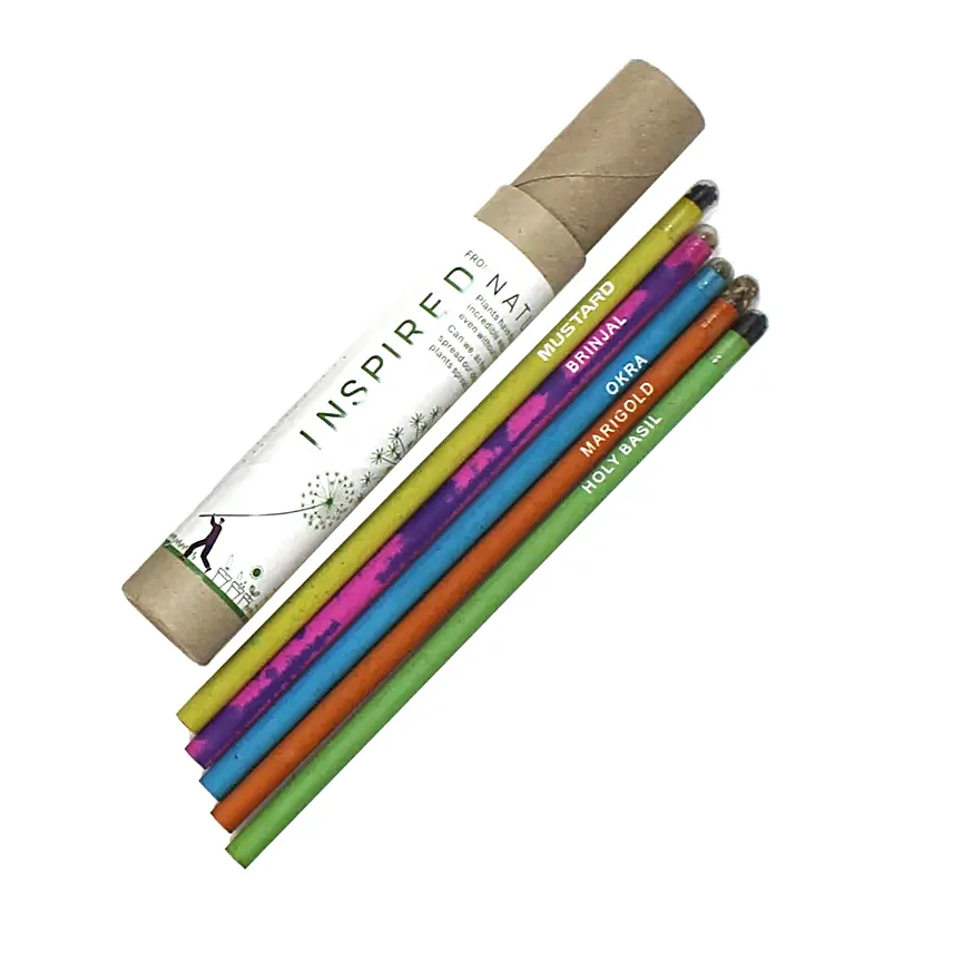 Kids Special Plantable Stationery Box