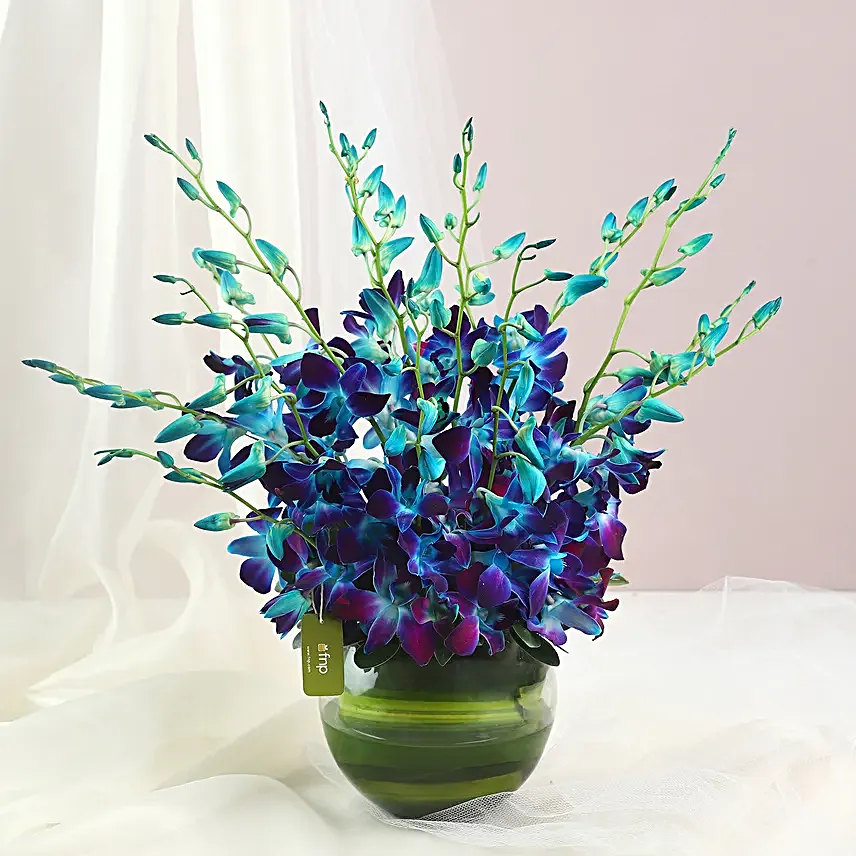 Land Of Beauty Vase Arrangement